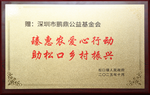 臻惠农爱心行动 助松口乡村振兴